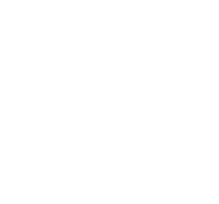 Reset